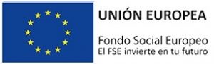FSE Logo